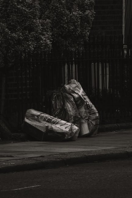 Two large black garbage bags and a cardboard box, all filled with waste, are stacked on a sidewalk next to a black metal fence with vertical bars. The plastic bags are crumpled and appear to contain household or garden refuse, with one bag leaning against the other and the box placed horizontally on the ground. The surface of the waste items shows wrinkles and folds, with some parts reflecting subtle light. In the background, the dark fence extends horizontally across the scene, and partially visible foliage from a tree is seen at the top left corner, adding a natural element to the urban setting. The ground surface is paved, with a curb separating the sidewalk from the road in the foreground, which is made of asphalt. The overall lighting is subdued, likely due to overcast conditions, emphasizing the visual focus on the waste materials as part of an example of private rubbish collection or on-site clearance services by companies like Rubbish Clearance Camden in the context of alternative waste handling options in the area.